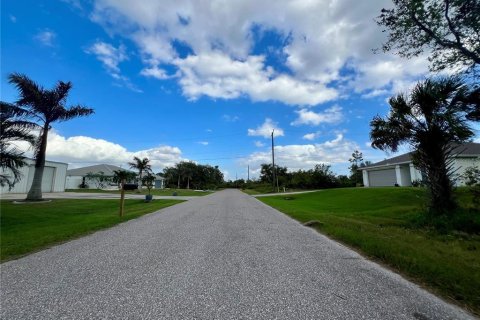 Land in Port Charlotte, Florida № 2229558 - photo 2