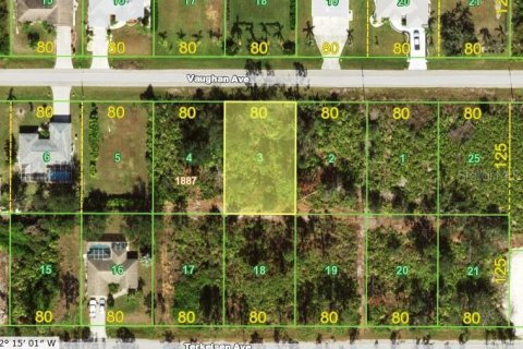 Land in Port Charlotte, Florida № 2229558 - photo 4