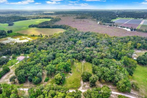 Casa en venta en Floral City, Florida, 3 dormitorios, 124.4 m2 № 1915169 - foto 19
