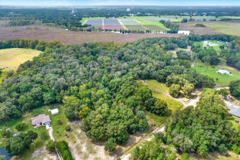 Casa en venta en Floral City, Florida, 3 dormitorios, 124.4 m2 № 1915169 - foto 13