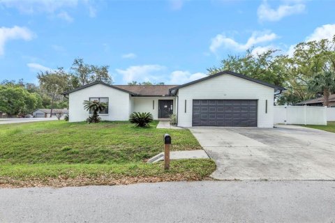 Villa ou maison à Land O' Lakes, Floride 3 chambres, 130.16 m2 № 2100872