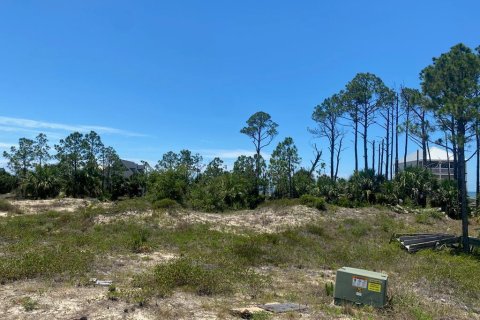 Terreno en venta en Port Saint Joe, Florida № 558253 - foto 1
