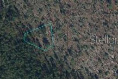 Terreno en Chipley, Florida № 2164395