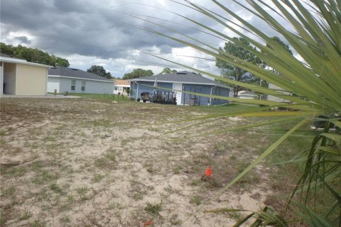 Land in Lake Wales, Florida № 2377610 - photo 2