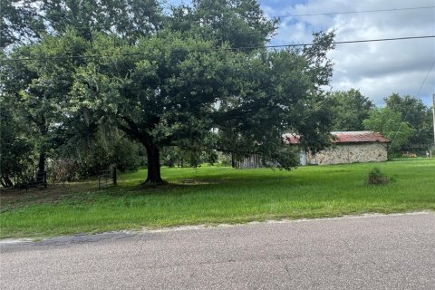 Land in Wimauma, Florida № 1779012 - photo 1