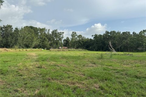 Land in Wimauma, Florida № 1779012 - photo 3