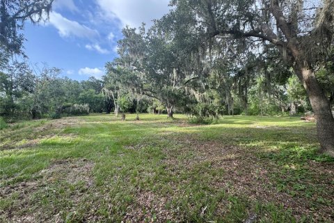Land in Wimauma, Florida № 1779012 - photo 5