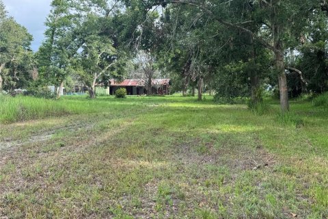 Land in Wimauma, Florida № 1779012 - photo 2