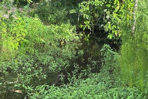 Land in Wimauma, Florida № 1779012 - photo 4