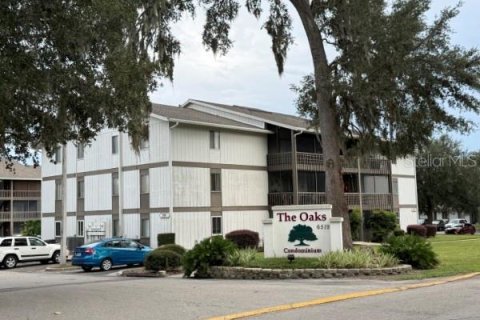 Condo à Gainesville, Floride, 1 chambre  № 2373119