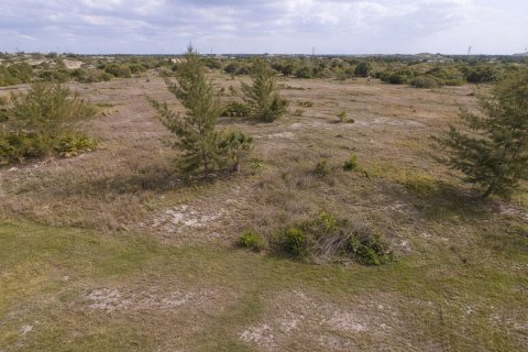 Propiedad comercial en venta en Port Charlotte, Florida № 2158285 - foto 2
