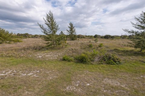 Propiedad comercial en Port Charlotte, Florida № 2158285