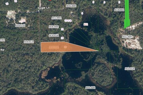 Land in Crescent City, Florida № 2232732 - photo 2