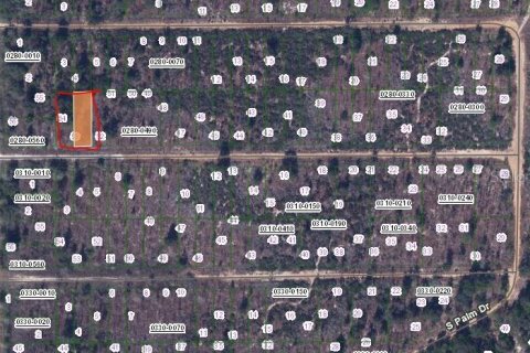 Terreno en venta en Interlachen, Florida № 2159473 - foto 2