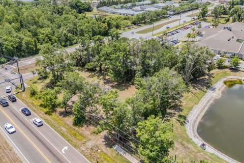 Propiedad comercial en venta en Lutz, Florida, 170.57 m2 № 2102268 - foto 18