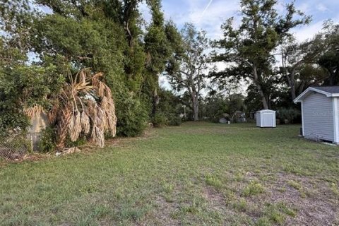 Terrain à Tampa, Floride № 2155869