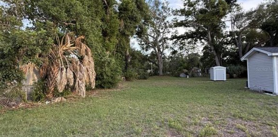 Terrain à Tampa, Floride № 2155869