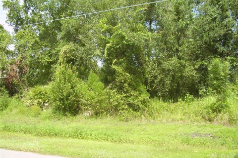 Terreno en venta en Kissimmee, Florida № 2239867 - foto 2