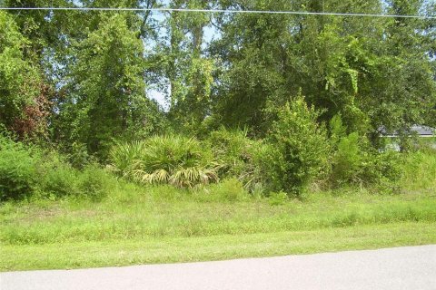 Terreno en venta en Kissimmee, Florida № 2239867 - foto 4