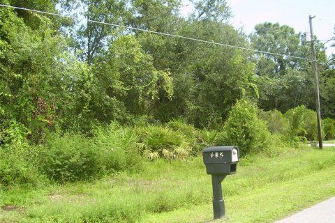 Terreno en venta en Kissimmee, Florida № 2239867 - foto 3