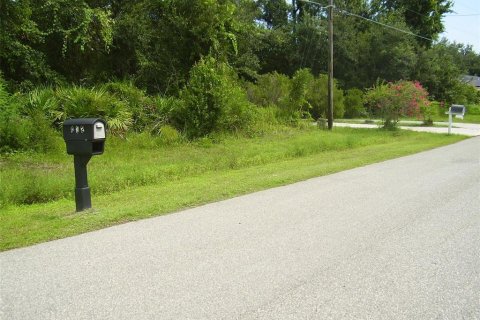 Land in Kissimmee, Florida № 2239867