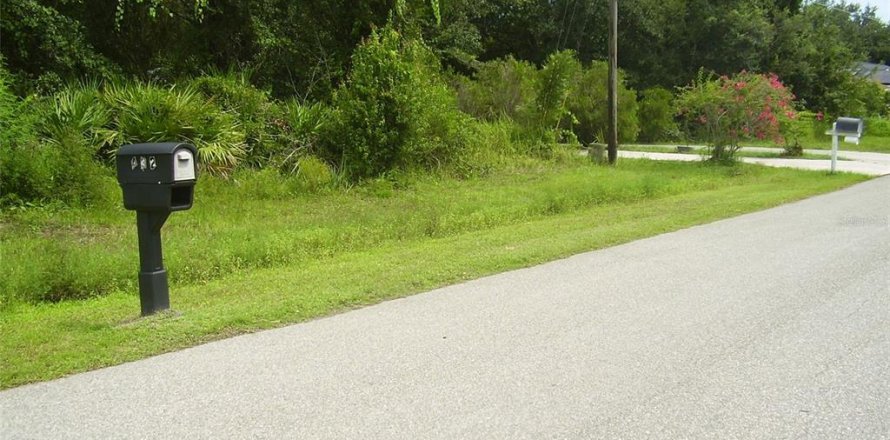 Terreno en Kissimmee, Florida № 2239867