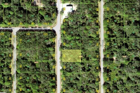 Land in Port Charlotte, Florida № 2164593 - photo 2