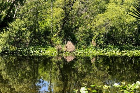 Terrain à Sanford, Floride № 2101382