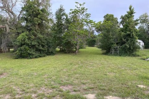 House in High Springs, Florida 3 bedrooms, 132.94 sq.m. № 1632514 - photo 15