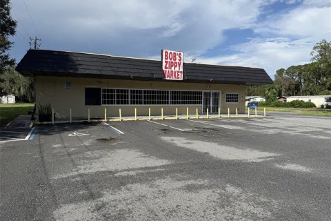 Propiedad comercial en alquiler en Wildwood, Florida, 226.68 m2 № 1886477 - foto 1