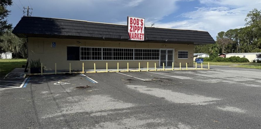 Propiedad comercial en Wildwood, Florida 226.68 m2 № 1886477
