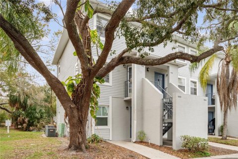 Condo in Tampa, Florida, 1 bedroom  № 2393572