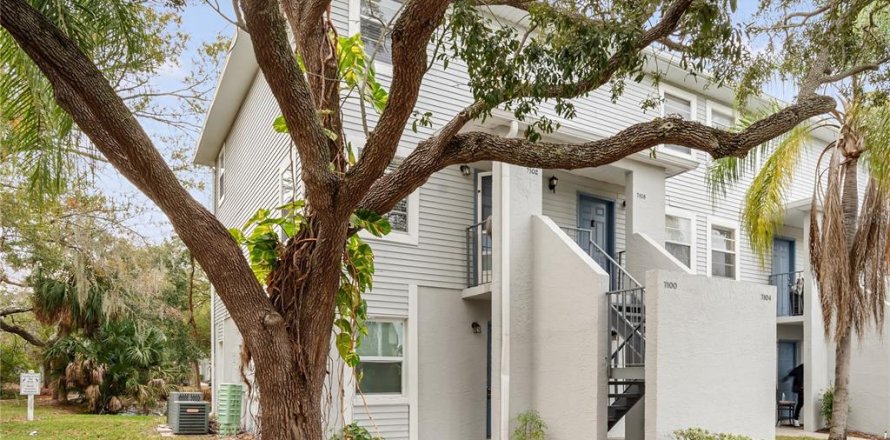 Condo in Tampa, Florida, 1 bedroom № 2393572