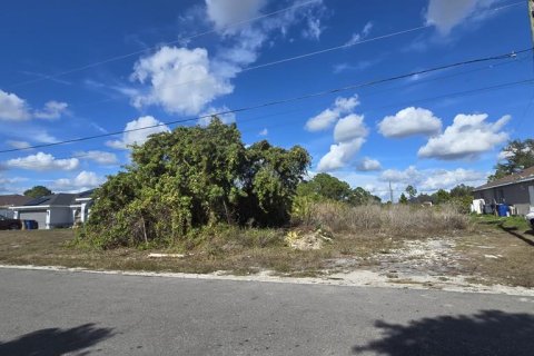 Land in Lehigh Acres, Florida № 2161020
