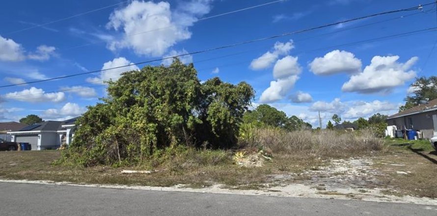 Land in Lehigh Acres, Florida № 2161020