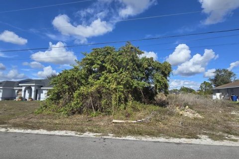 Land in Lehigh Acres, Florida № 2161020 - photo 3