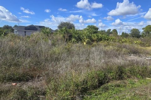 Land in Lehigh Acres, Florida № 2161020 - photo 4