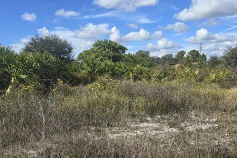 Land in Lehigh Acres, Florida № 2161020 - photo 9