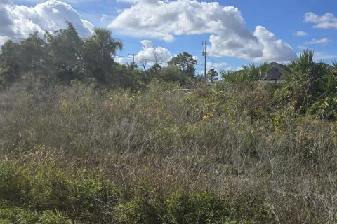 Land in Lehigh Acres, Florida № 2161020 - photo 5