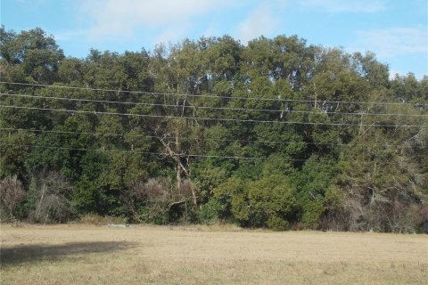 Land in Sorrento, Florida № 1657285 - photo 7