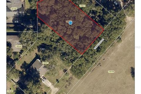Land in Sorrento, Florida № 1657285 - photo 1