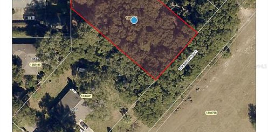 Land in Sorrento, Florida № 1657285