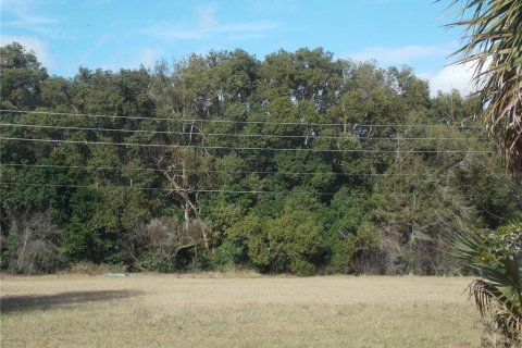 Land in Sorrento, Florida № 1657285 - photo 4