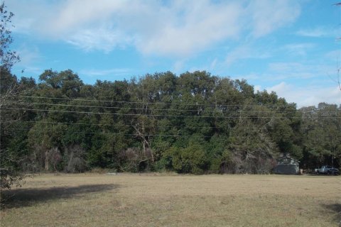 Land in Sorrento, Florida № 1657285 - photo 3