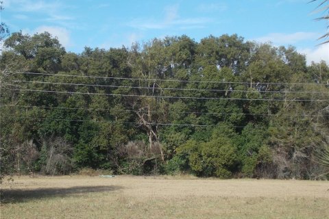 Land in Sorrento, Florida № 1657285 - photo 5