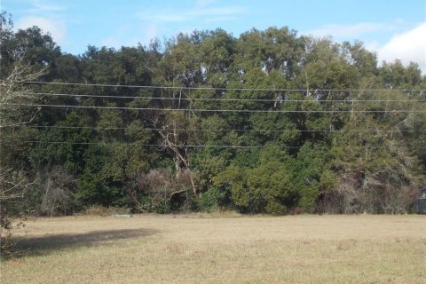 Land in Sorrento, Florida № 1657285 - photo 2