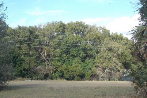 Land in Sorrento, Florida № 1657285 - photo 6