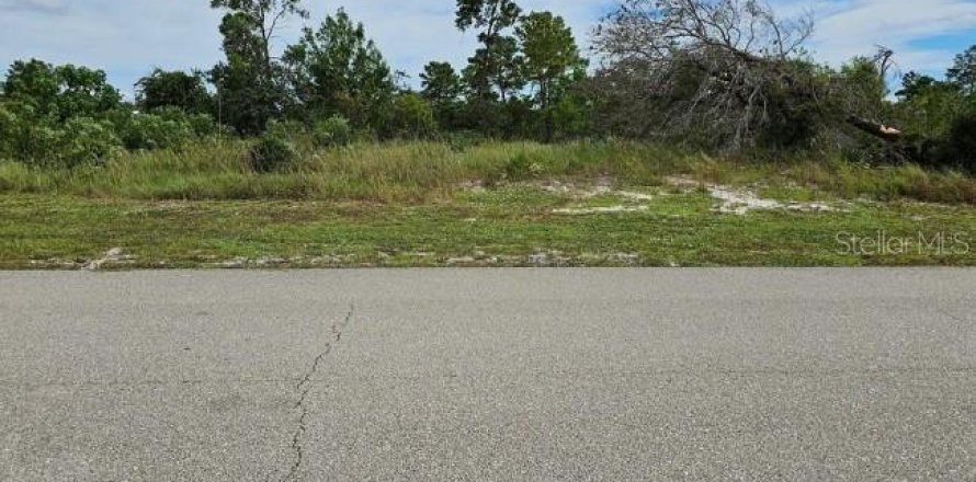 Land in Lake Placid, Florida № 2161055