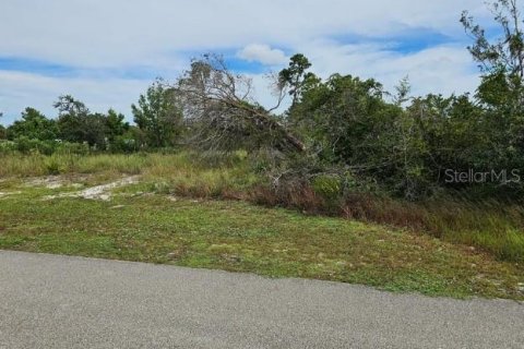 Land in Lake Placid, Florida № 2161055 - photo 3