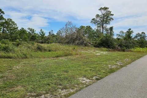 Land in Lake Placid, Florida № 2161055 - photo 2